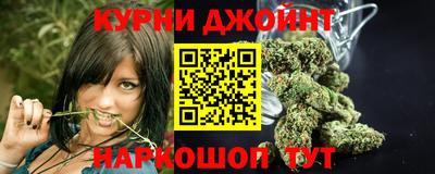 крисы Жуковский