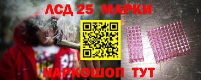 крисы Жуковский
