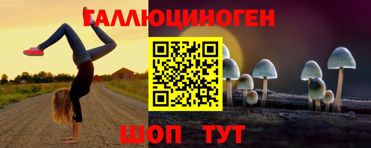 Псилоцибиновые грибы мицелий Жуковский